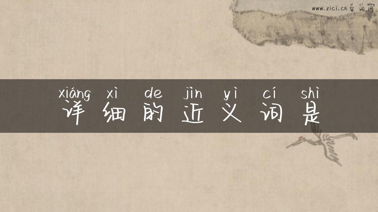 详细的近义词是