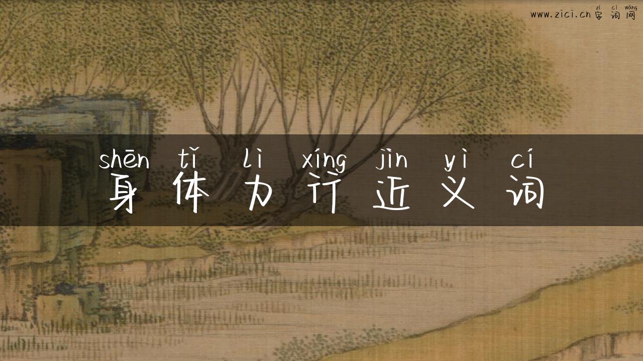 身体力行近义词