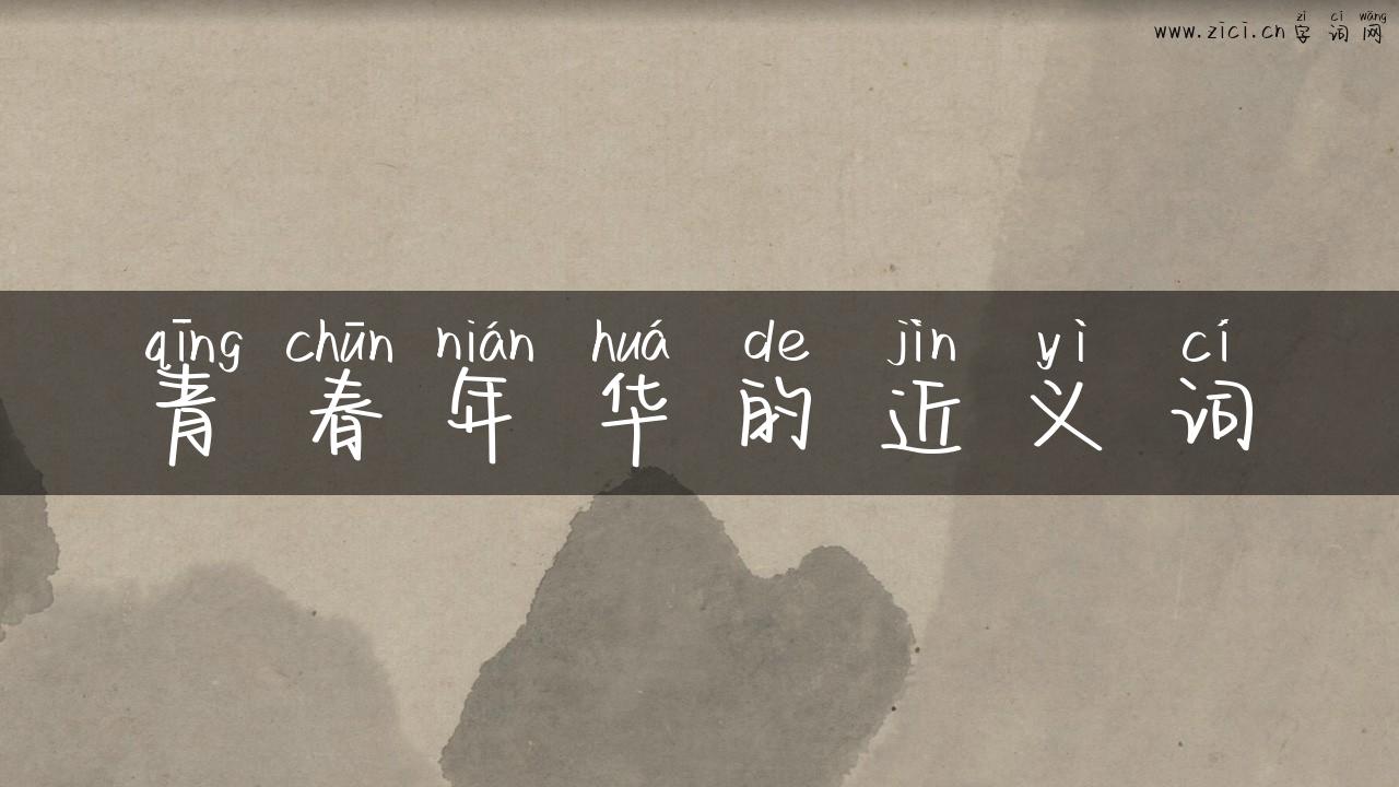 青春年华的近义词