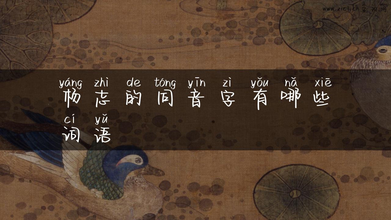 杨志的同音字有哪些词语