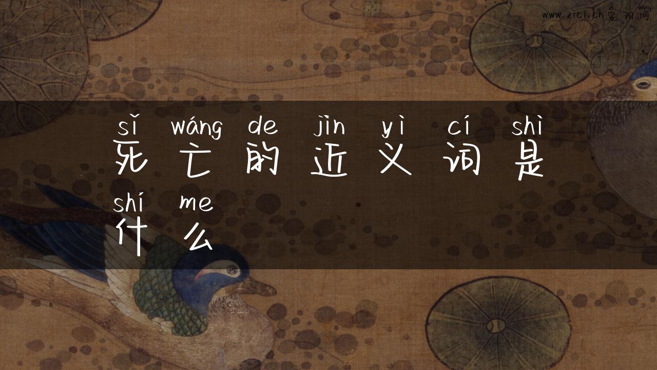 死亡的近义词是什么