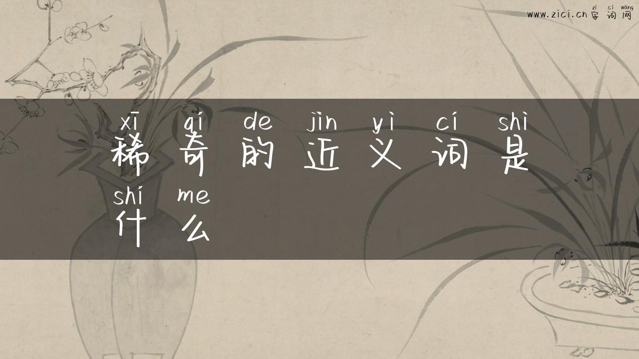 稀奇的近义词是什么