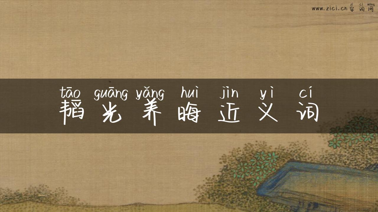 韬光养晦近义词