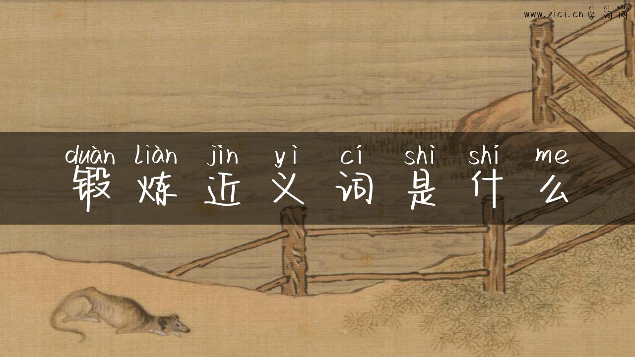 锻炼近义词是什么