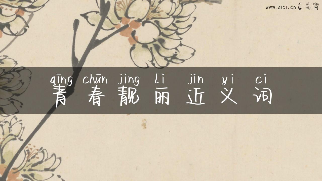 青春靓丽近义词
