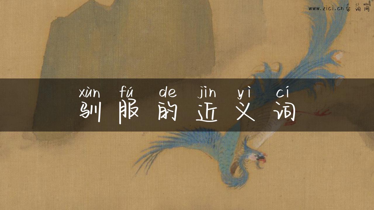 驯服的近义词