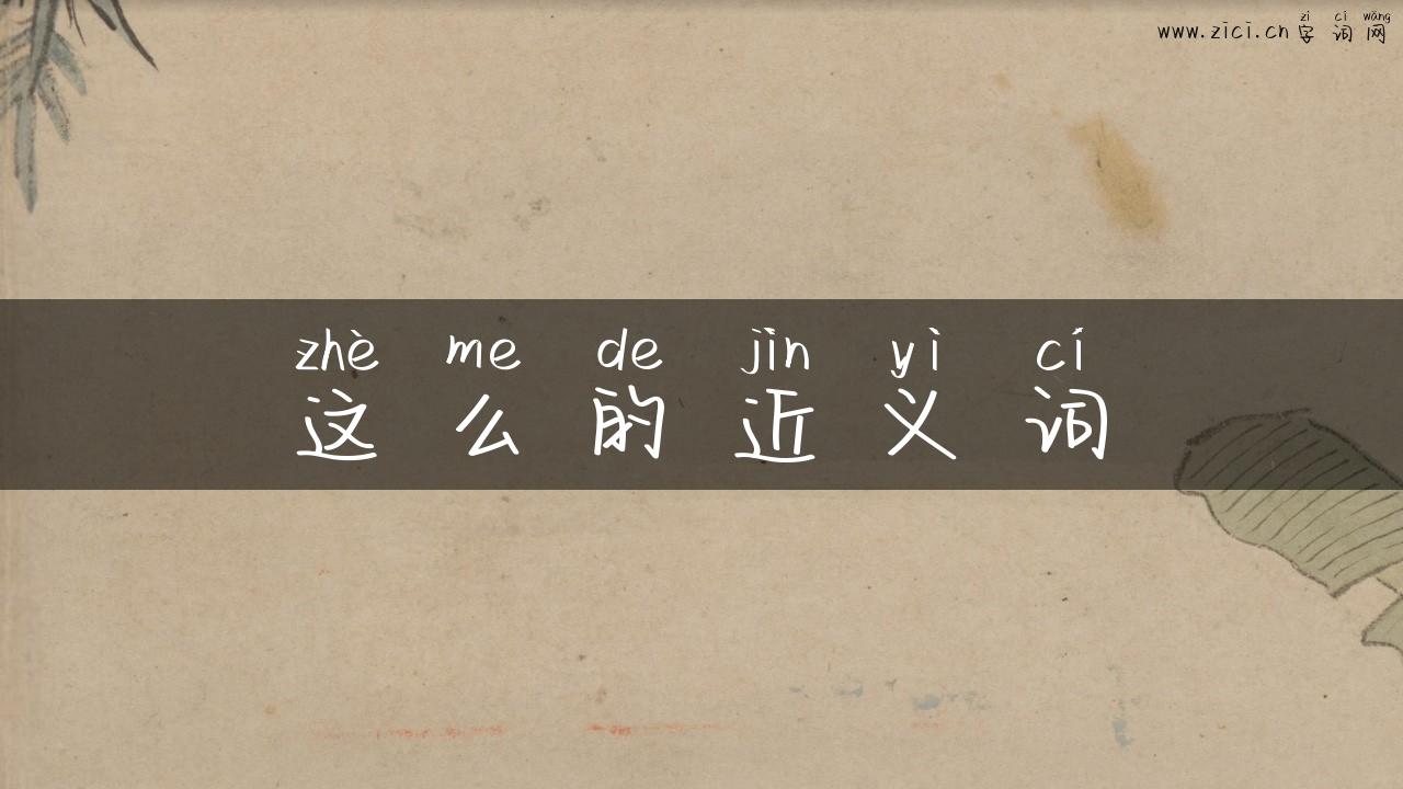 这么的近义词