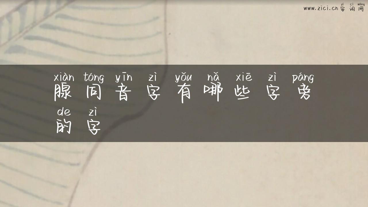 腺同音字有哪些字旁的字