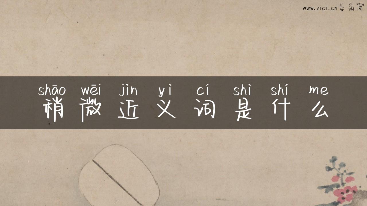 稍微近义词是什么