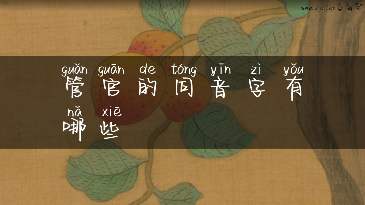 管官的同音字有哪些