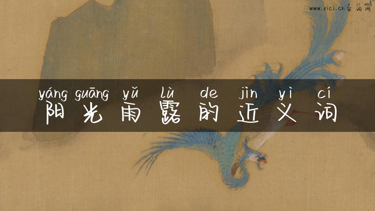阳光雨露的近义词