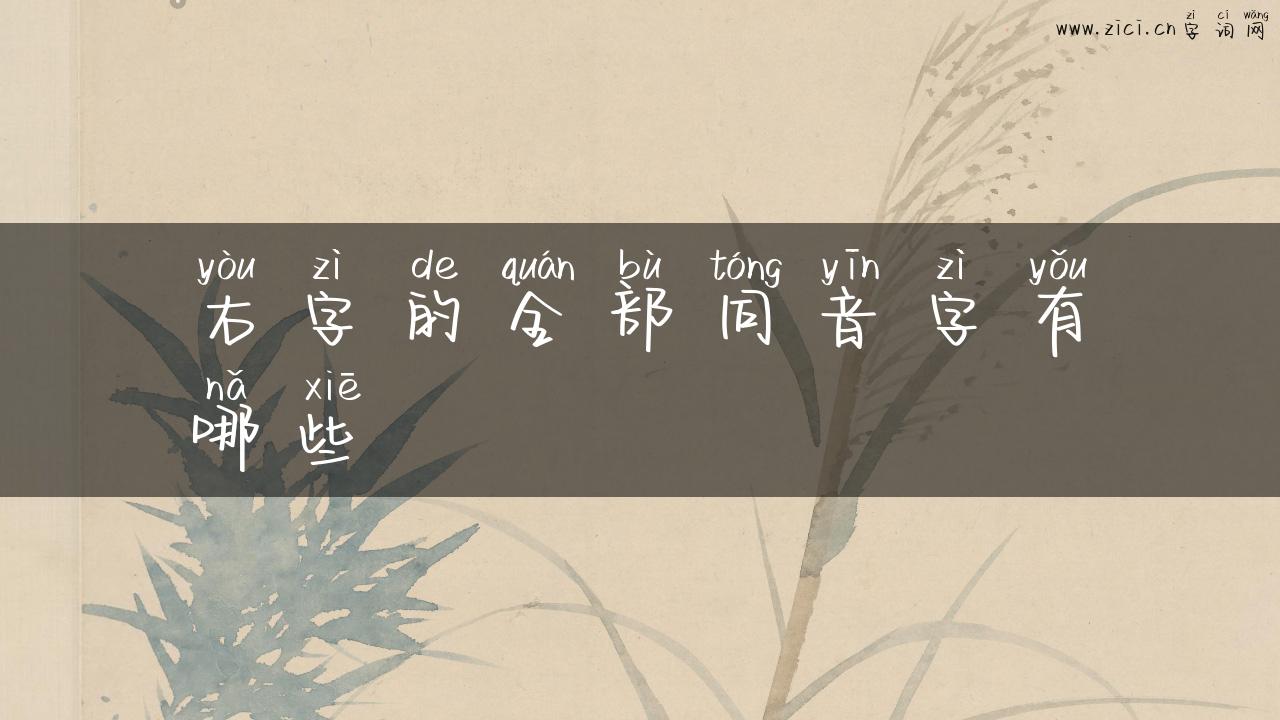 右字的全部同音字有哪些