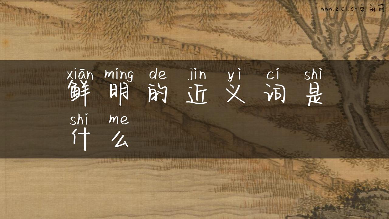 鲜明的近义词是什么