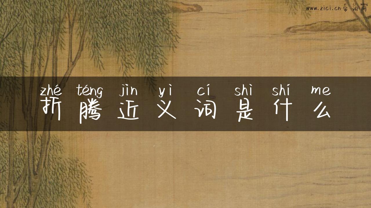 折腾近义词是什么