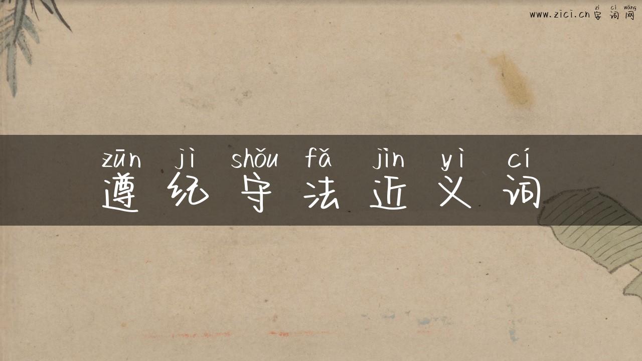 遵纪守法近义词