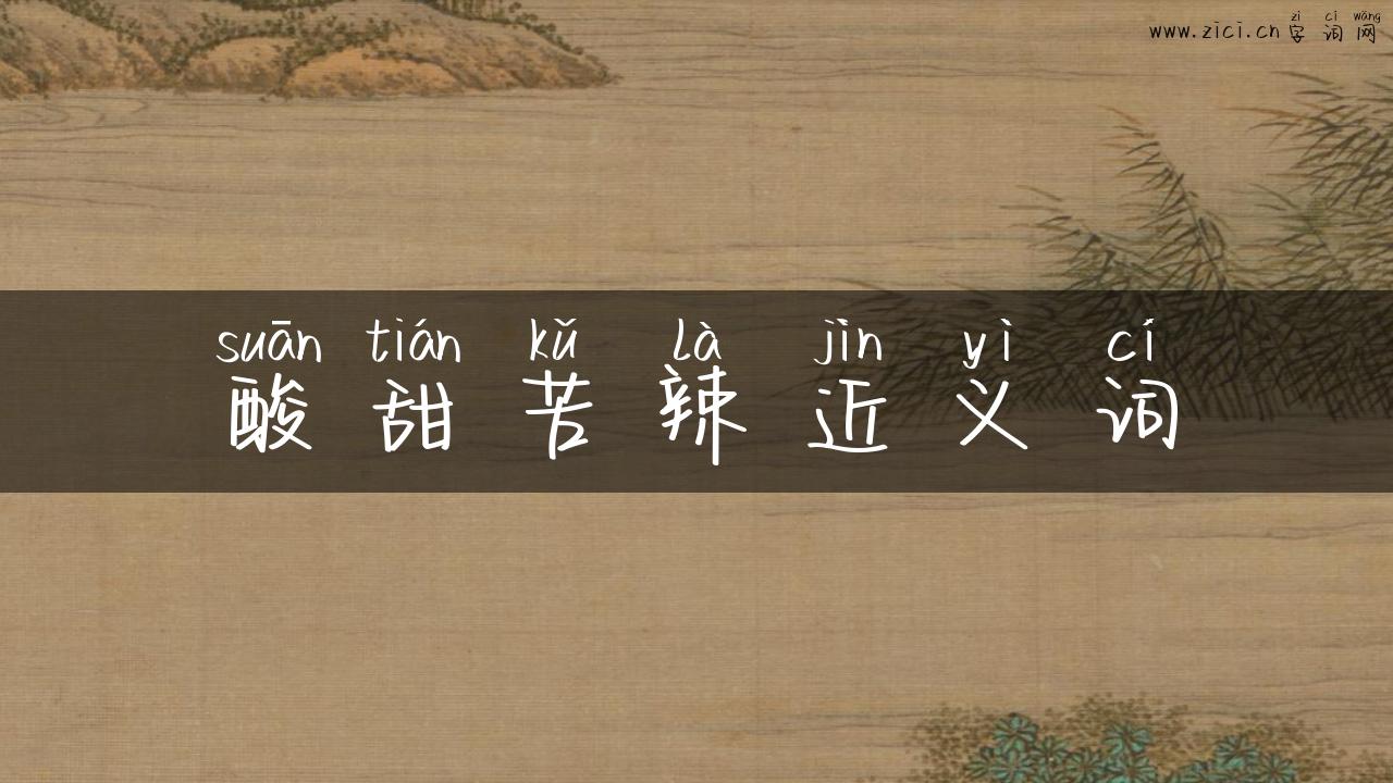 酸甜苦辣近义词
