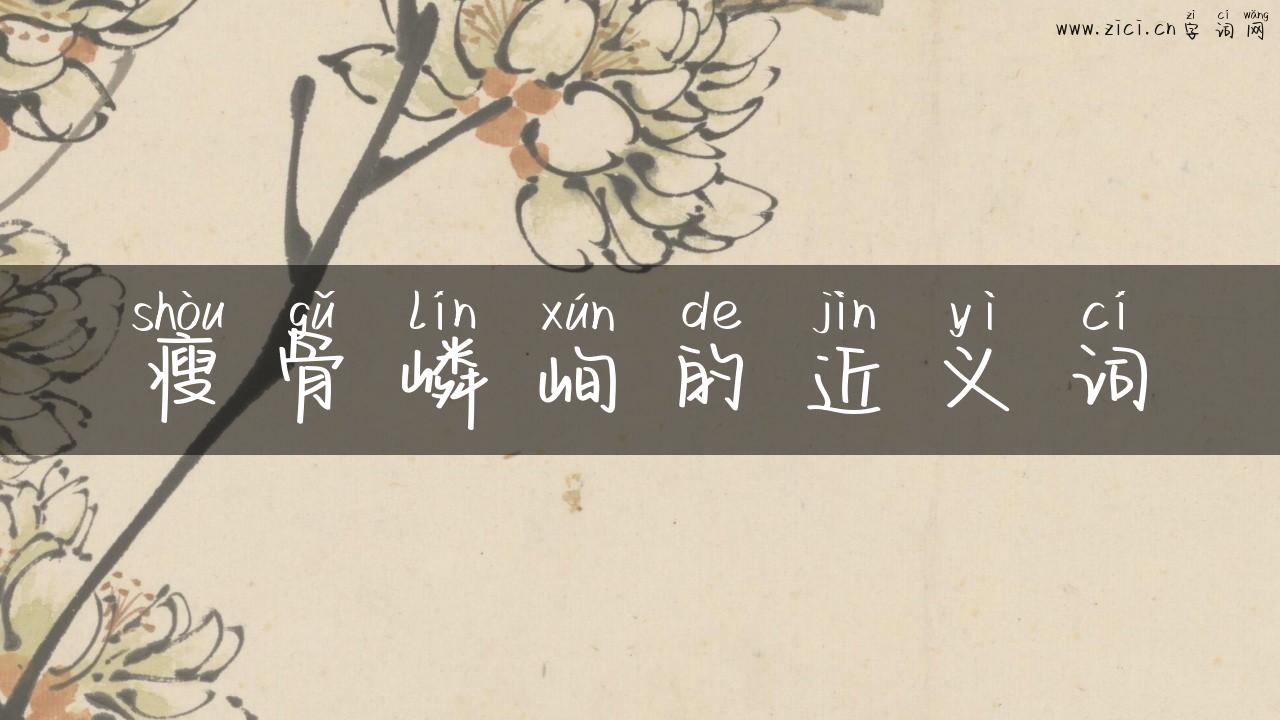 瘦骨嶙峋的近义词