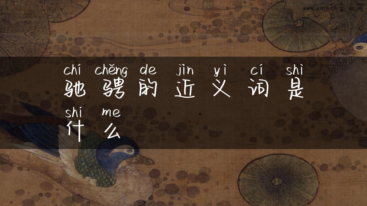 驰骋的近义词是什么