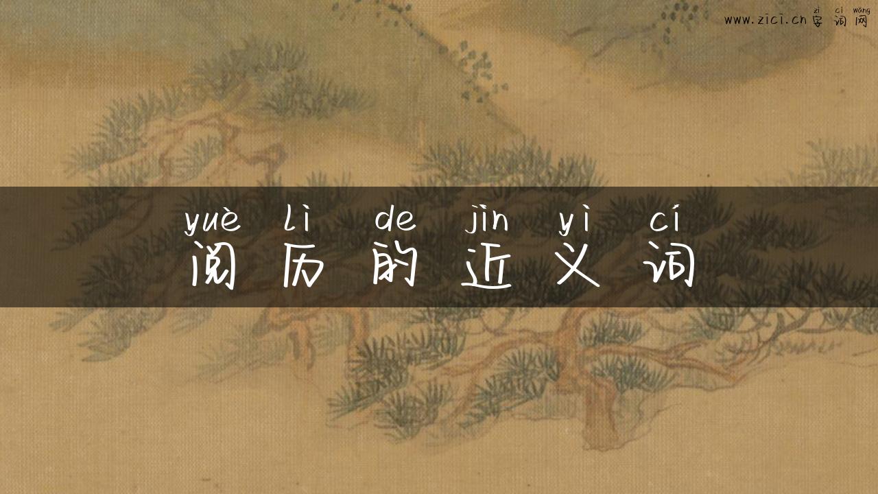 阅历的近义词