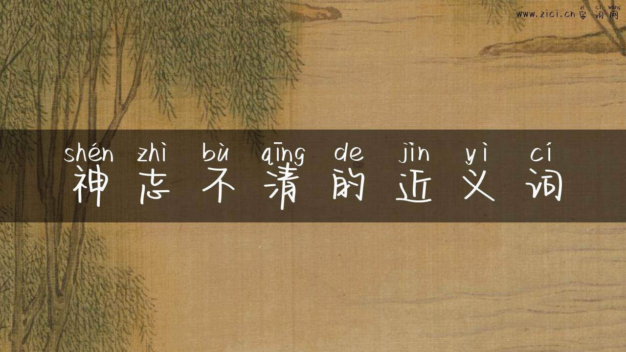 神志不清的近义词