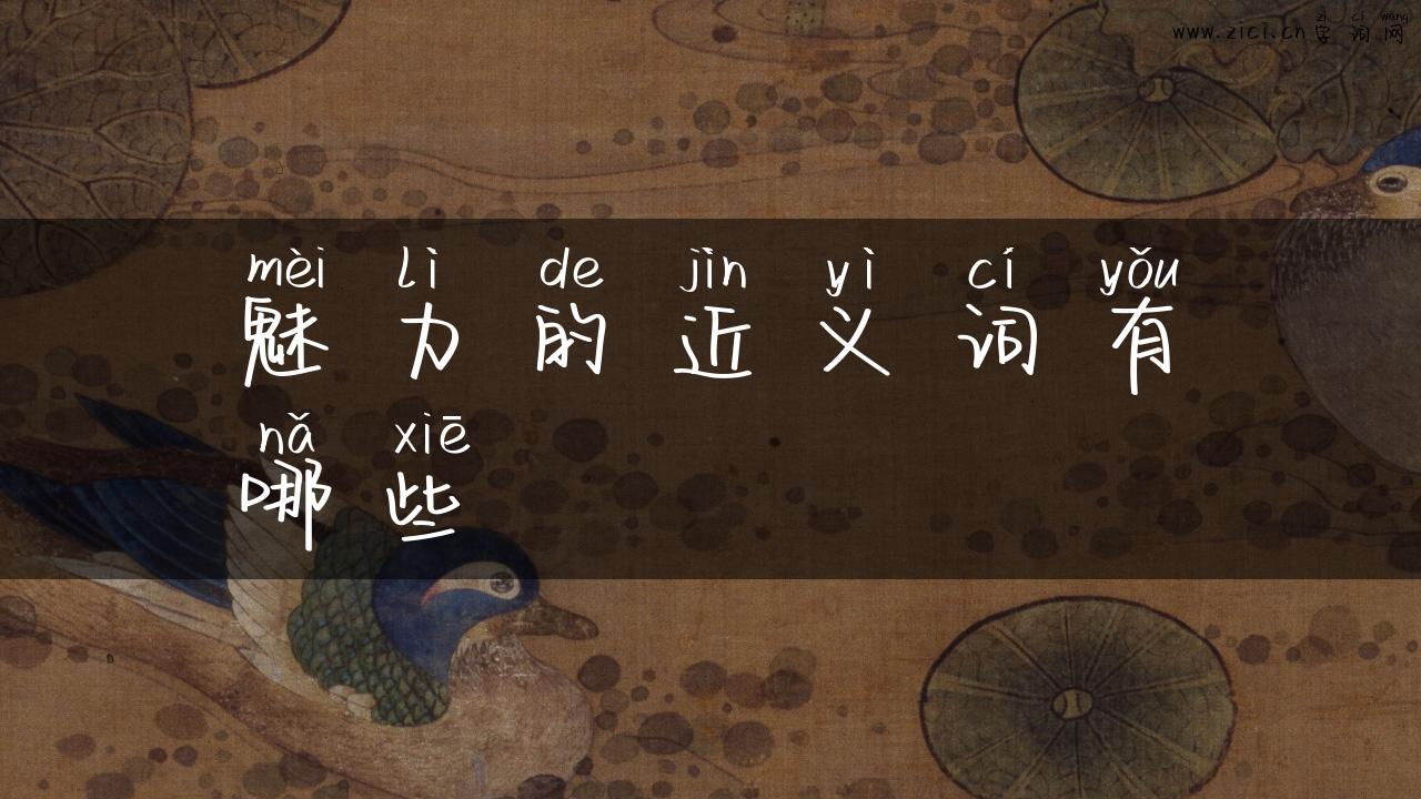 魅力的近义词有哪些
