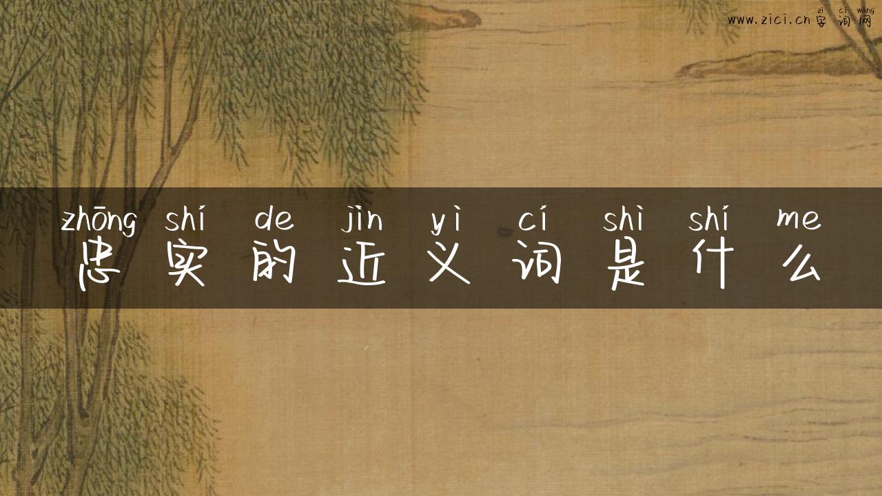 忠实的近义词是什么