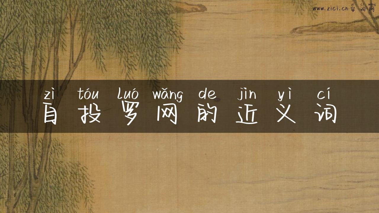 自投罗网的近义词