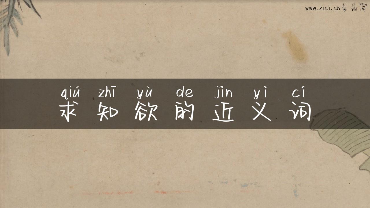 求知欲的近义词