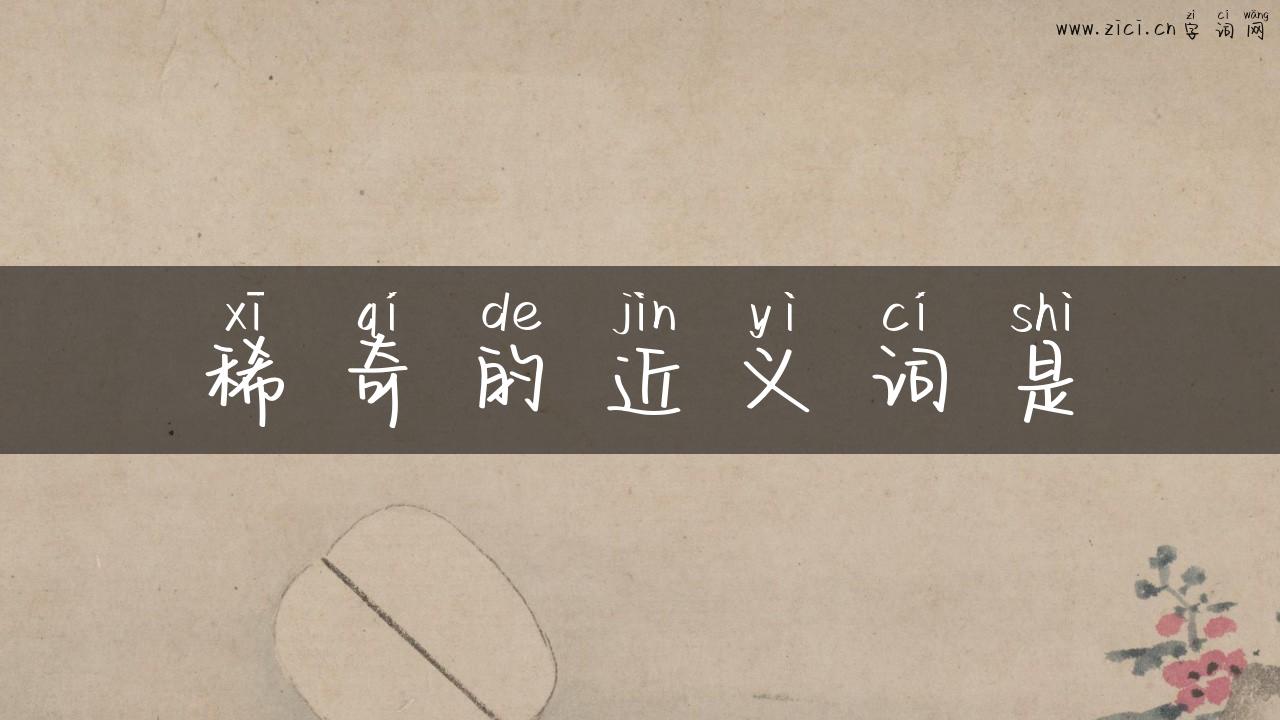 稀奇的近义词是