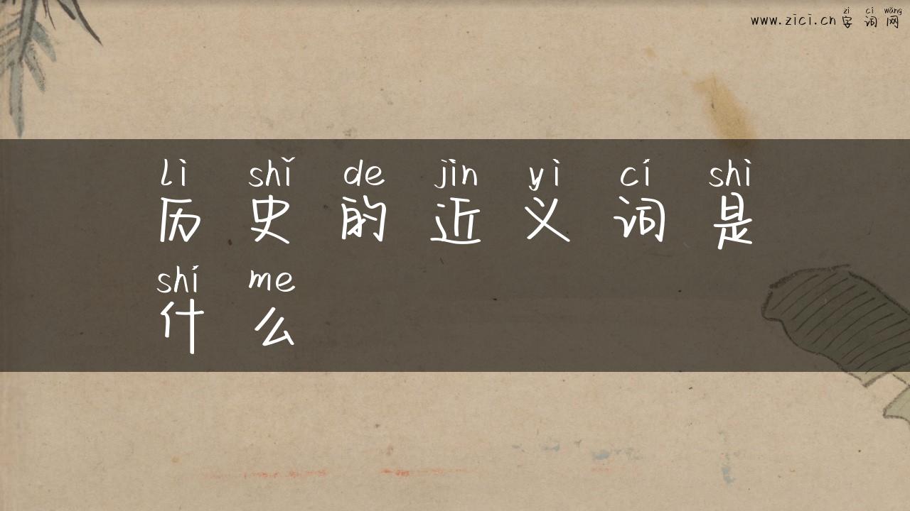 历史的近义词是什么