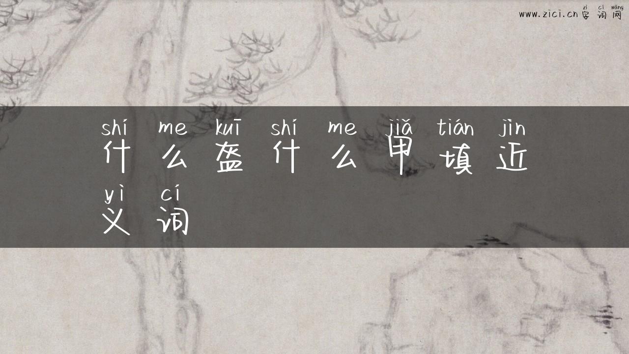 什么盔什么甲填近义词