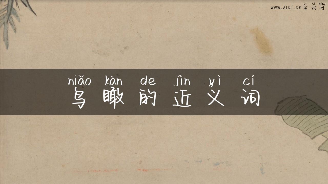 鸟瞰的近义词
