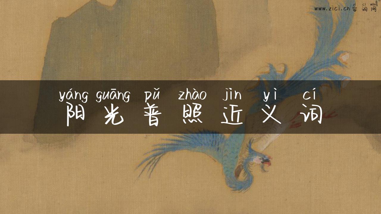阳光普照近义词