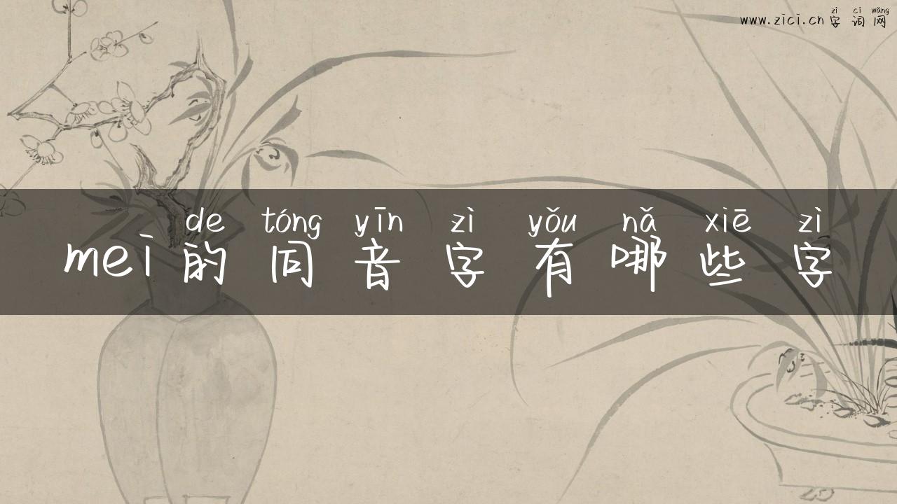 mei的同音字有哪些字