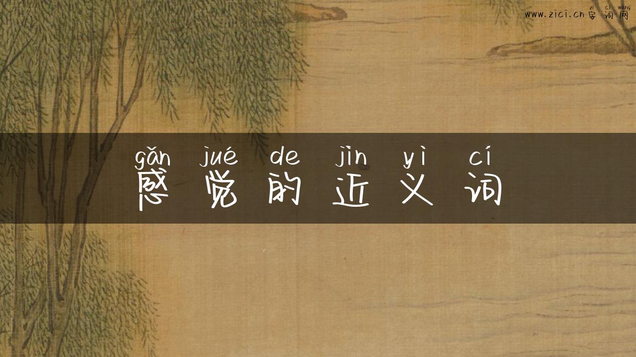 感觉的近义词