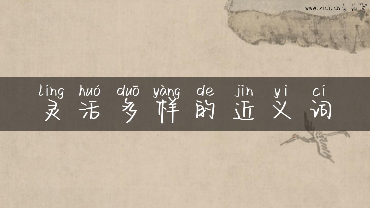 灵活多样的近义词