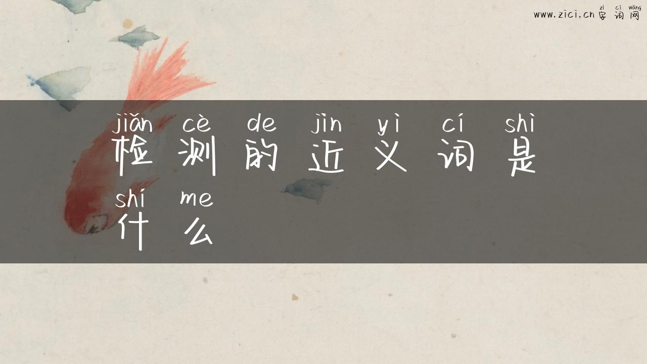 检测的近义词是什么