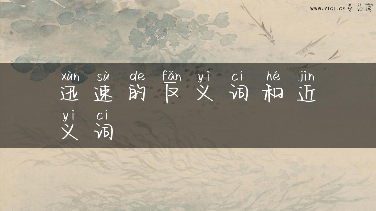 迅速的反义词和近义词