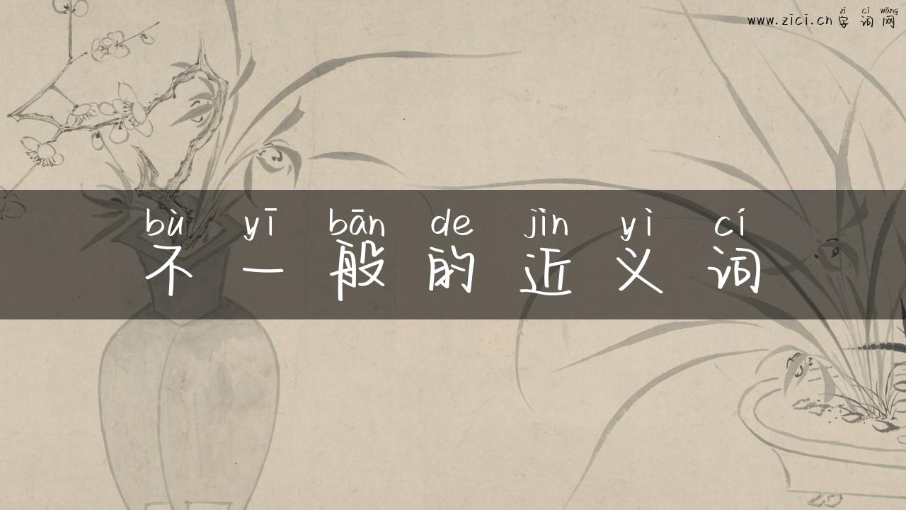 不一般的近义词