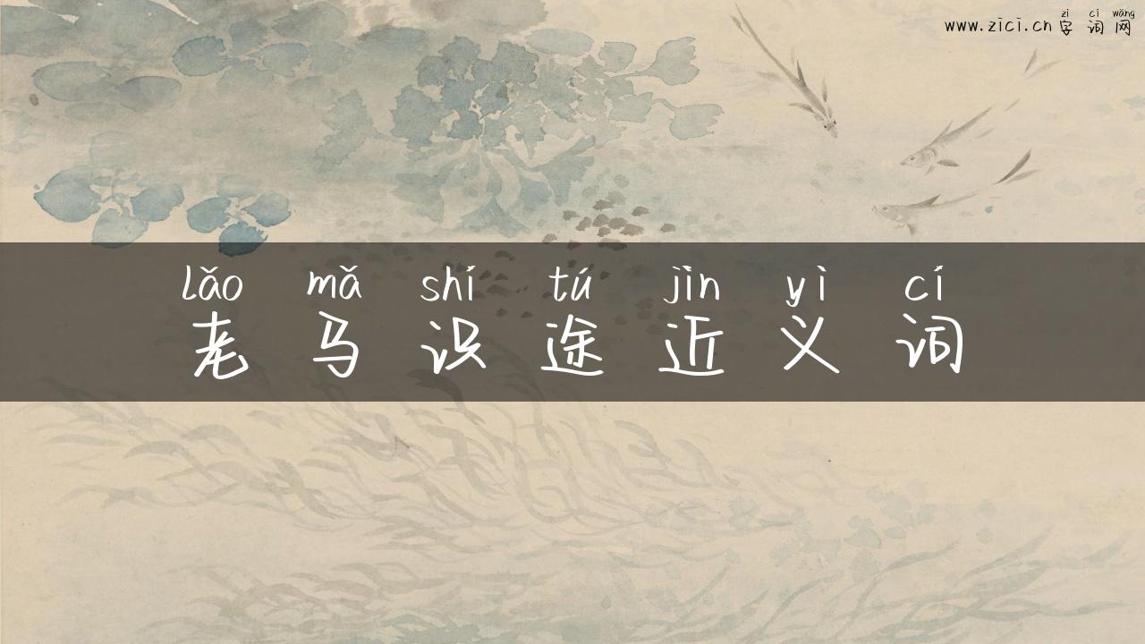 老马识途近义词