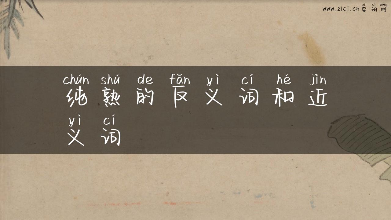 纯熟的反义词和近义词