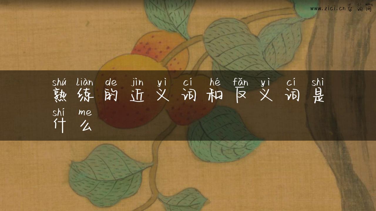熟练的近义词和反义词是什么
