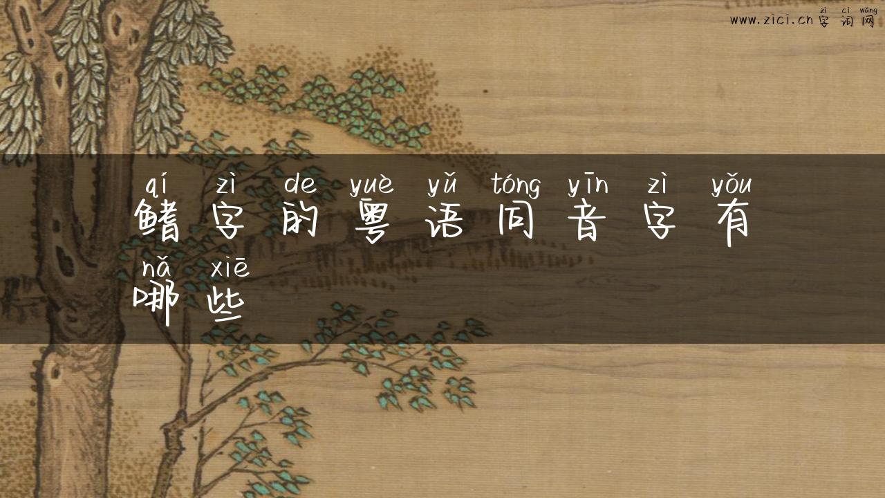 鳍字的粤语同音字有哪些