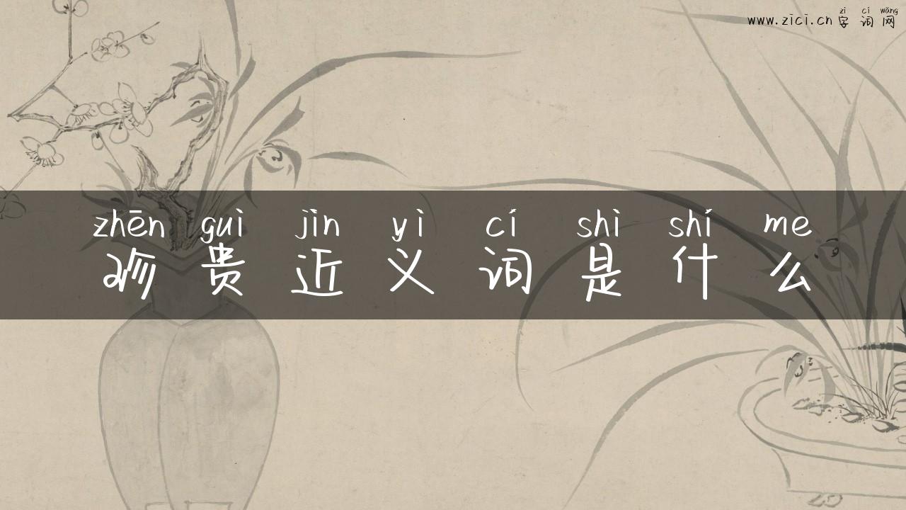 珍贵近义词是什么