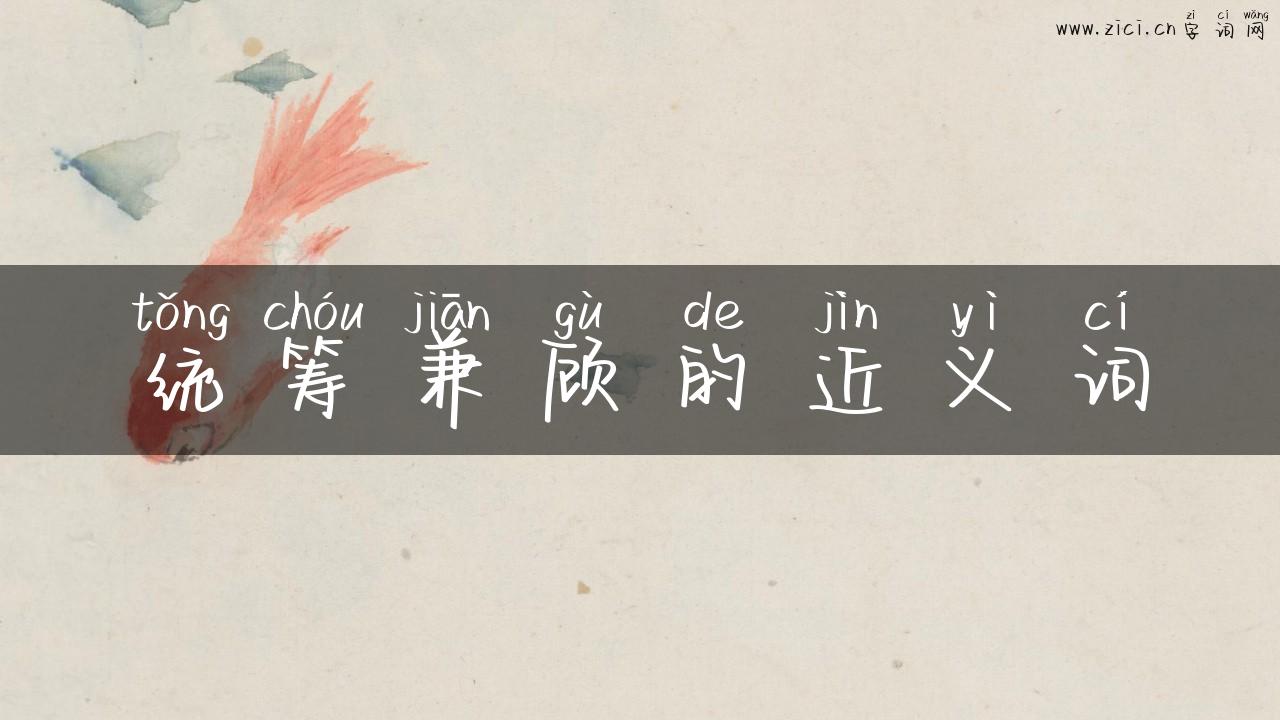 统筹兼顾的近义词