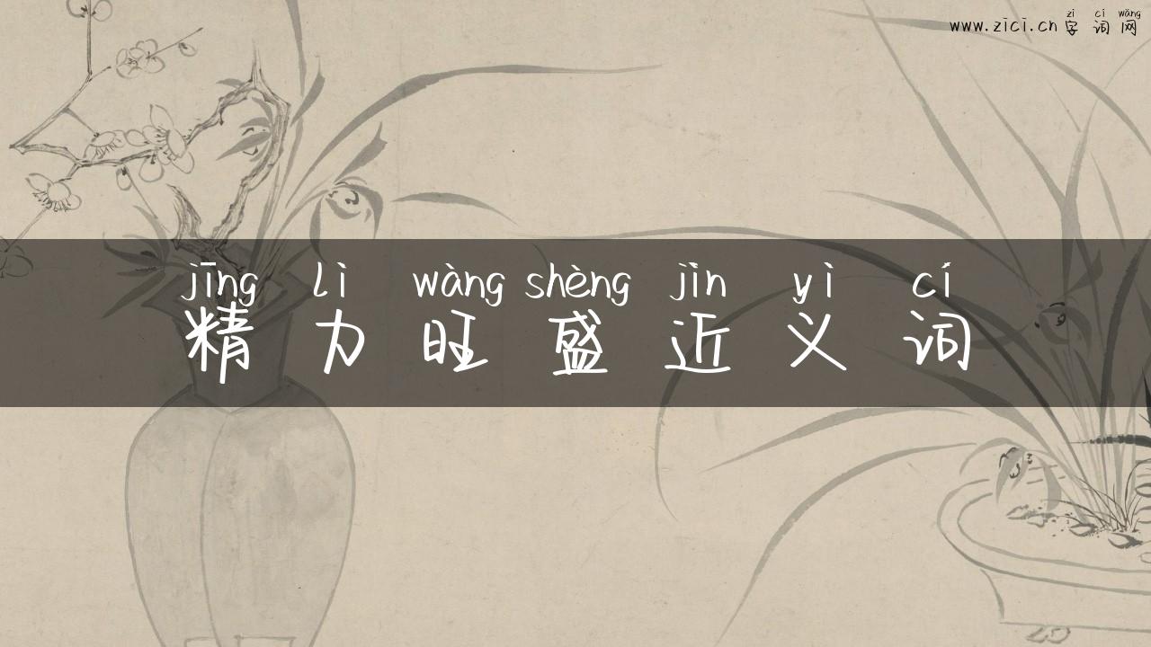 精力旺盛近义词