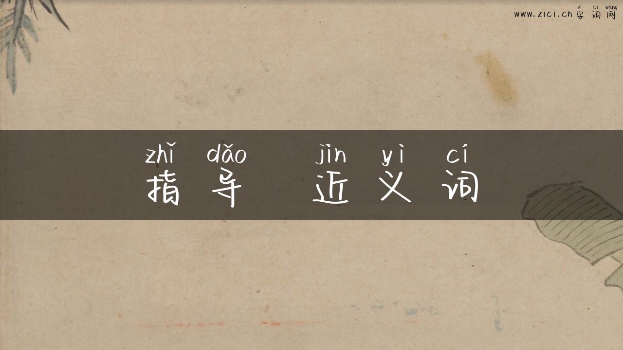 指导  近义词