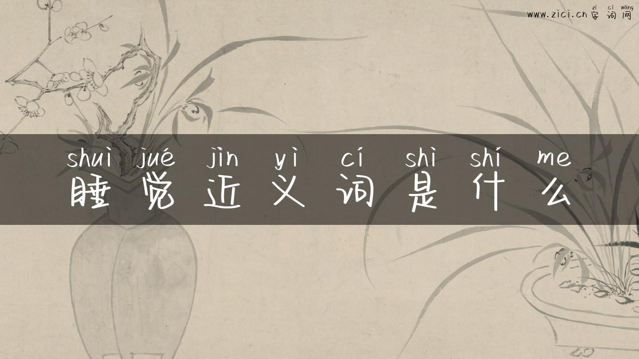 睡觉近义词是什么