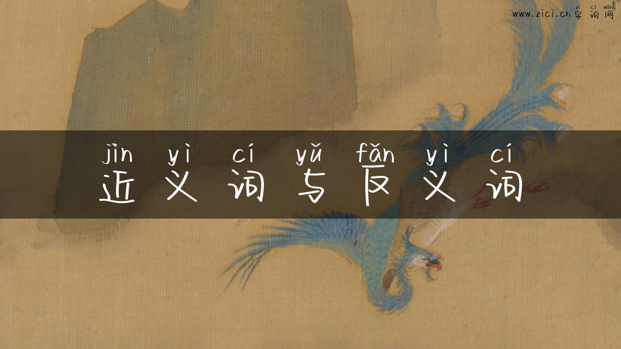 近义词与反义词