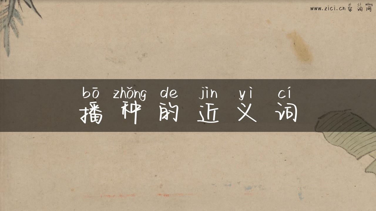 播种的近义词